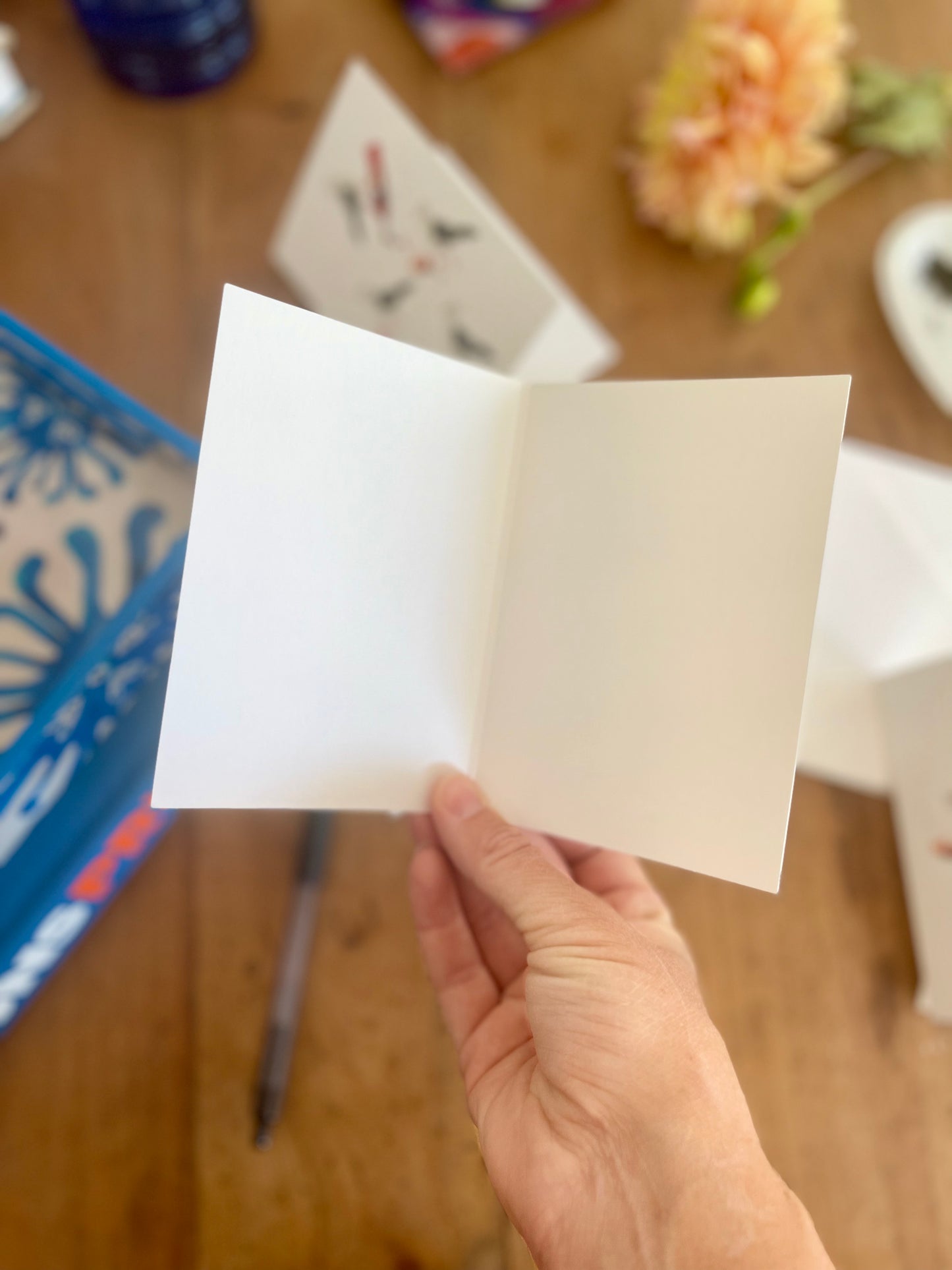 Party Seagull Notecards w Blank Envelopes (S/6)