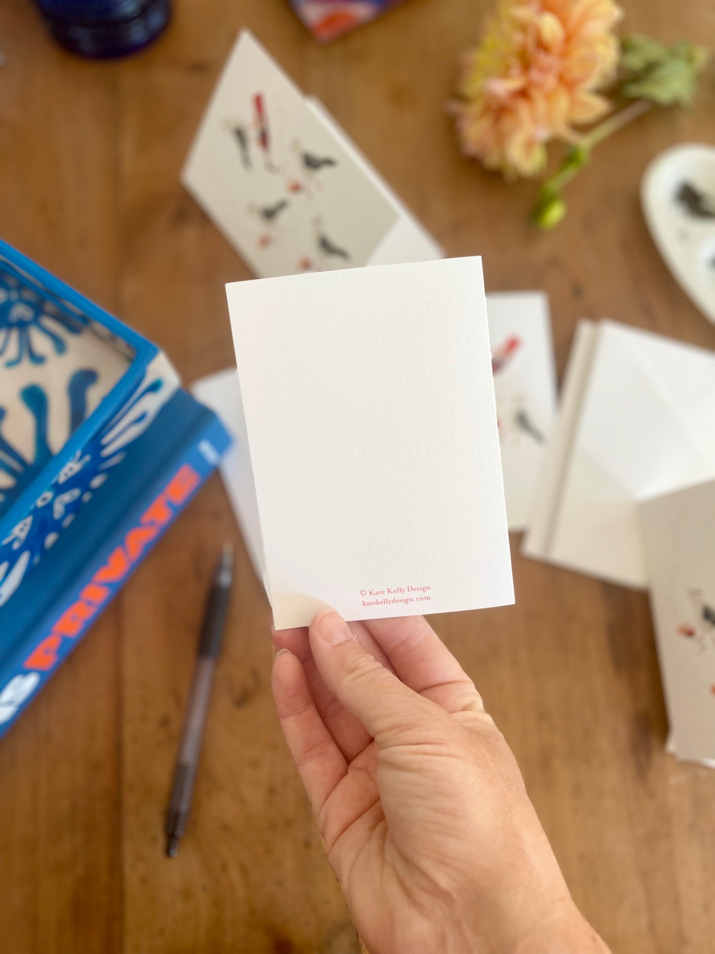 Party Seagull Notecards w Blank Envelopes (S/6)